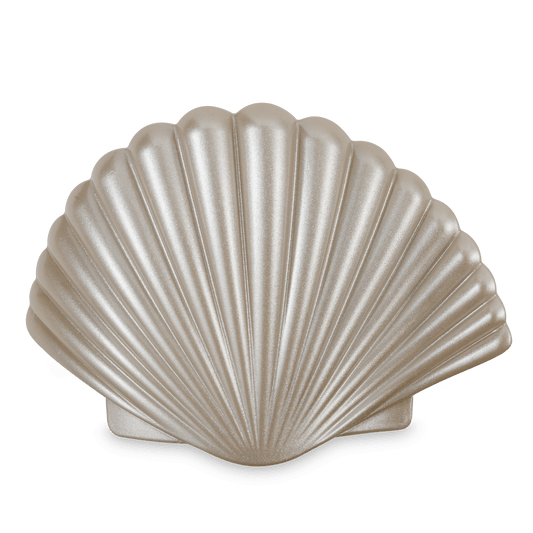 Shimmering Shell | Large | Flat Hair Clip - She Chester