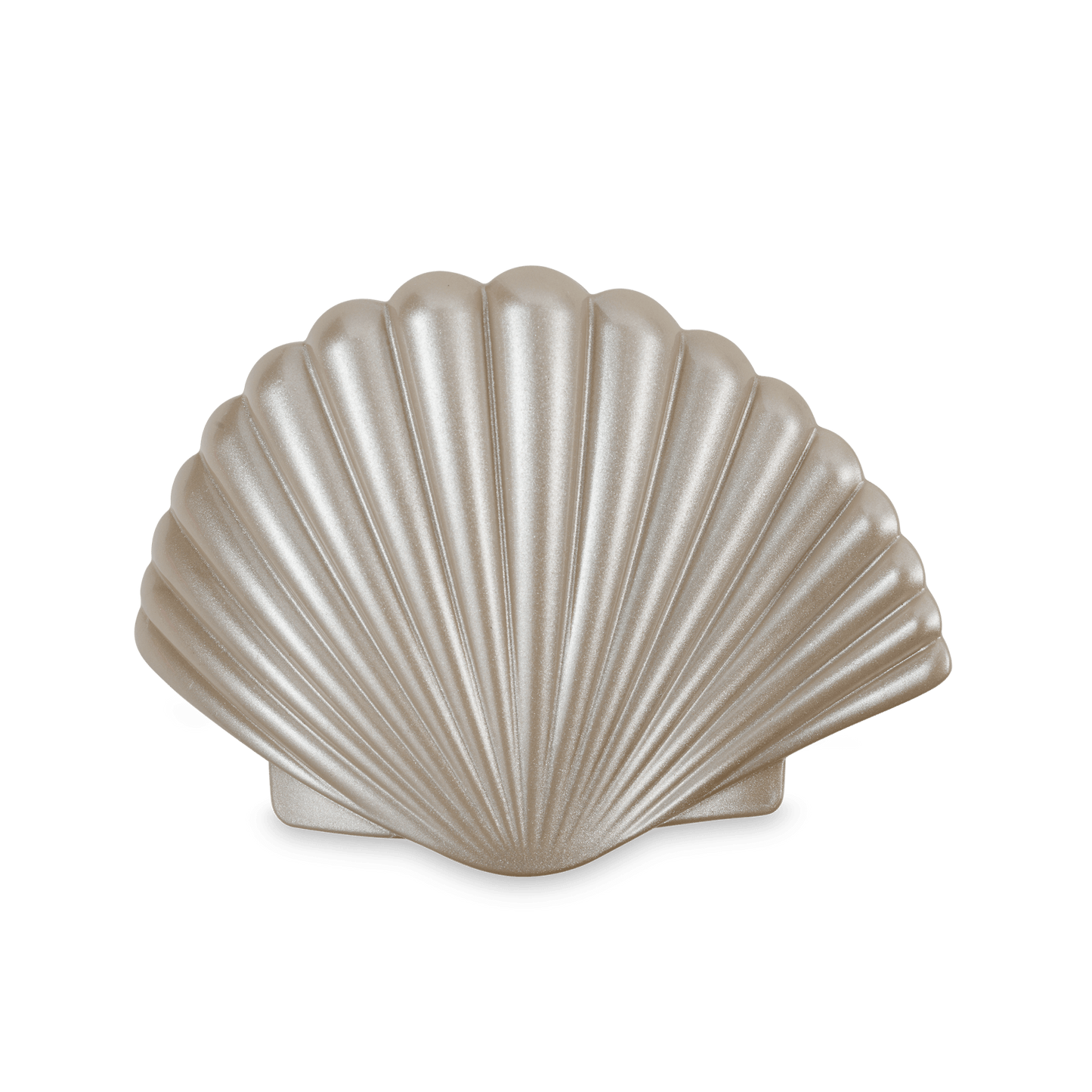 Shimmering Shell | Medium | Flat Hair Clip - She Chester
