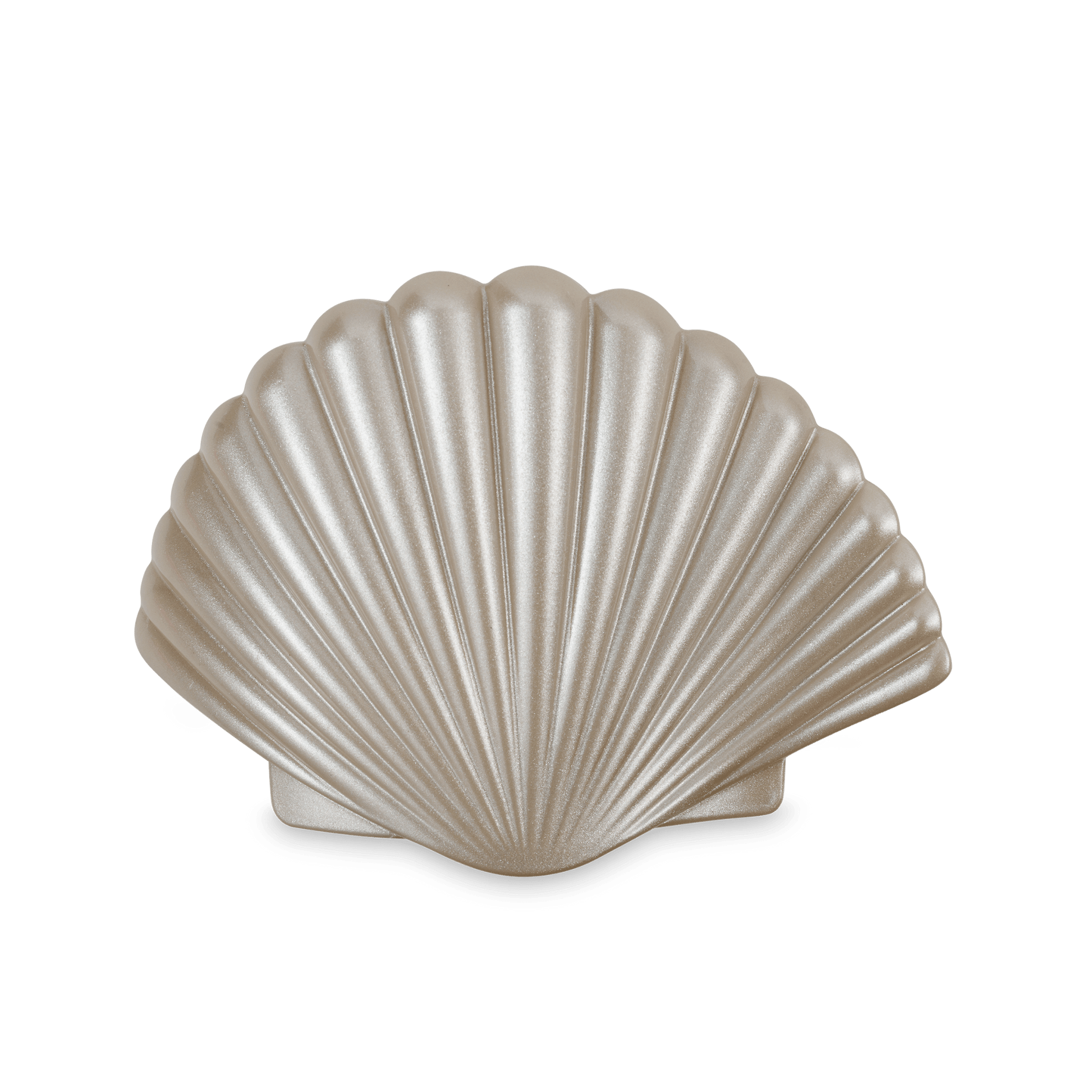 Shimmering Shell | Medium | Flat Hair Clip - She Chester
