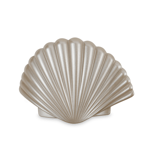 Shimmering Shell | Medium | Flat Hair Clip - She Chester