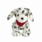 Smudge Dalmation - She Chester