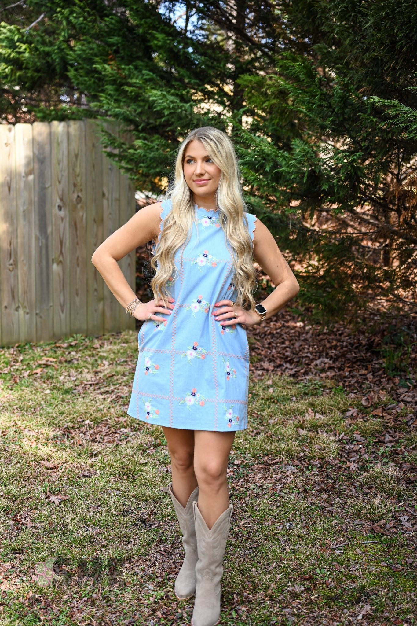 Sophee Chambray Embroidered Dress - She Chester
