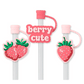 Strawberry Shortcake Reusable Straw Set - She Chester