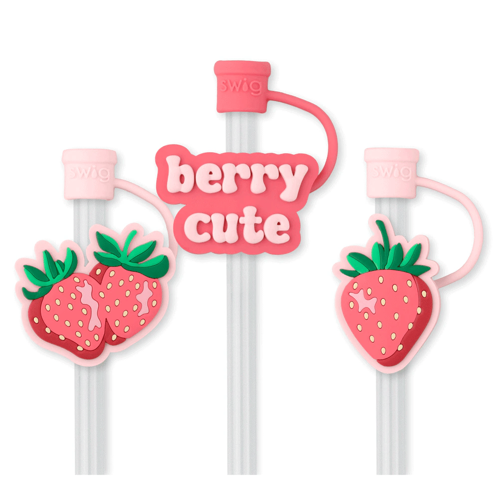 Strawberry Shortcake Reusable Straw Set - She Chester