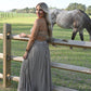 Sunset Dreams Taupe Maxi Dress - She Chester