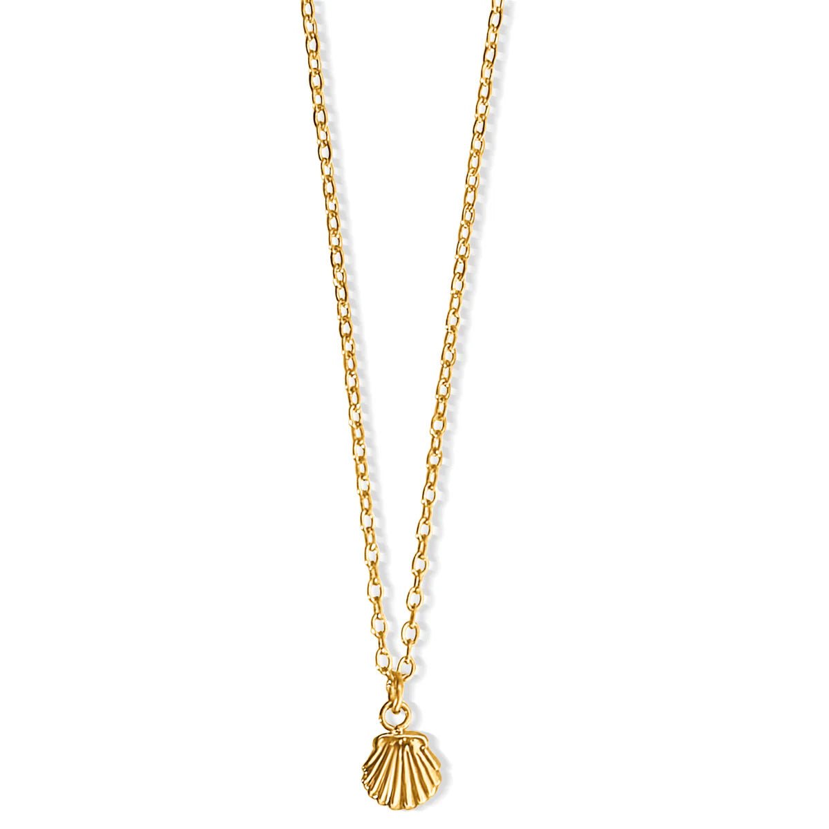 Tacha Mini Shell Necklace - She Chester