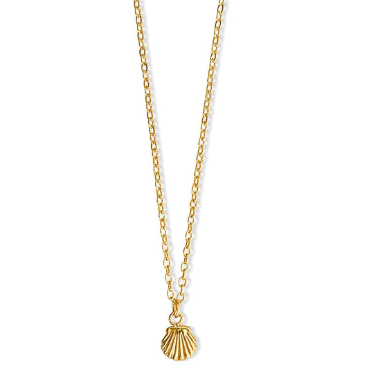 Tacha Mini Shell Necklace - She Chester