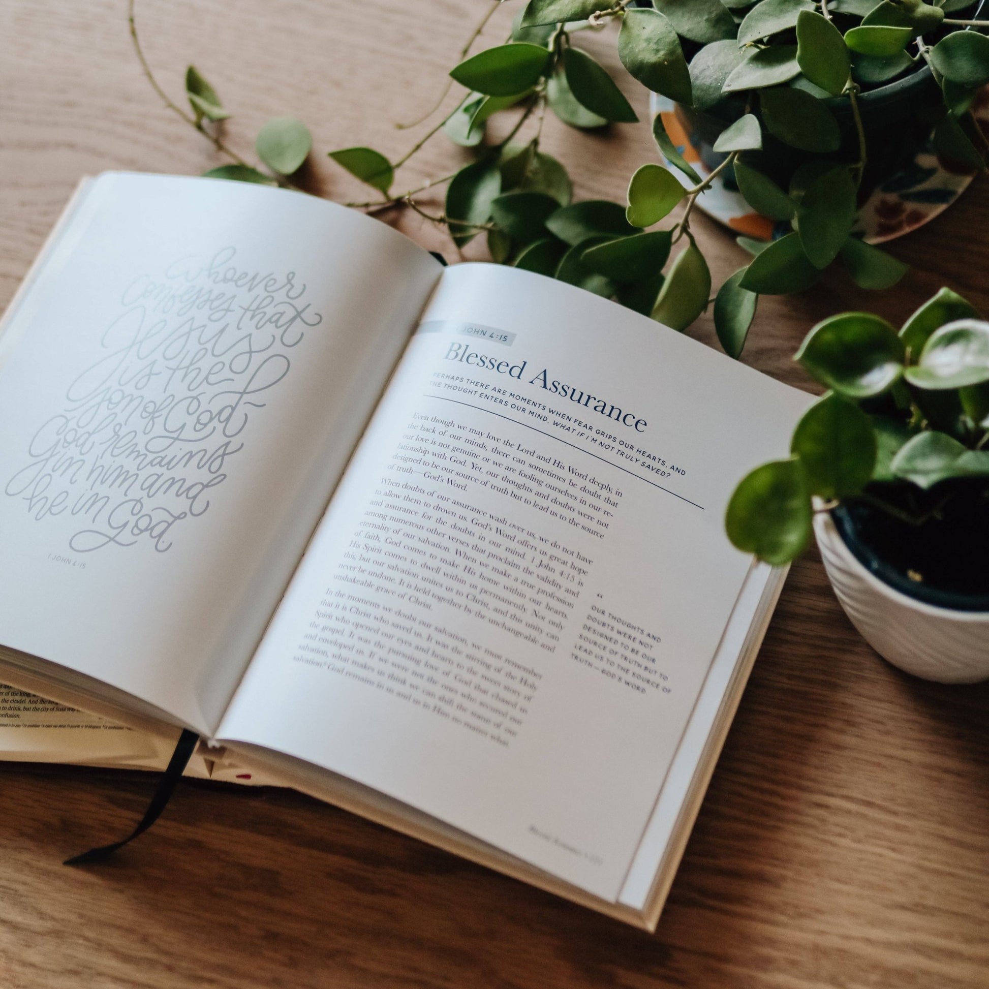 The Promises of God | Coffee Table Book - She Chester