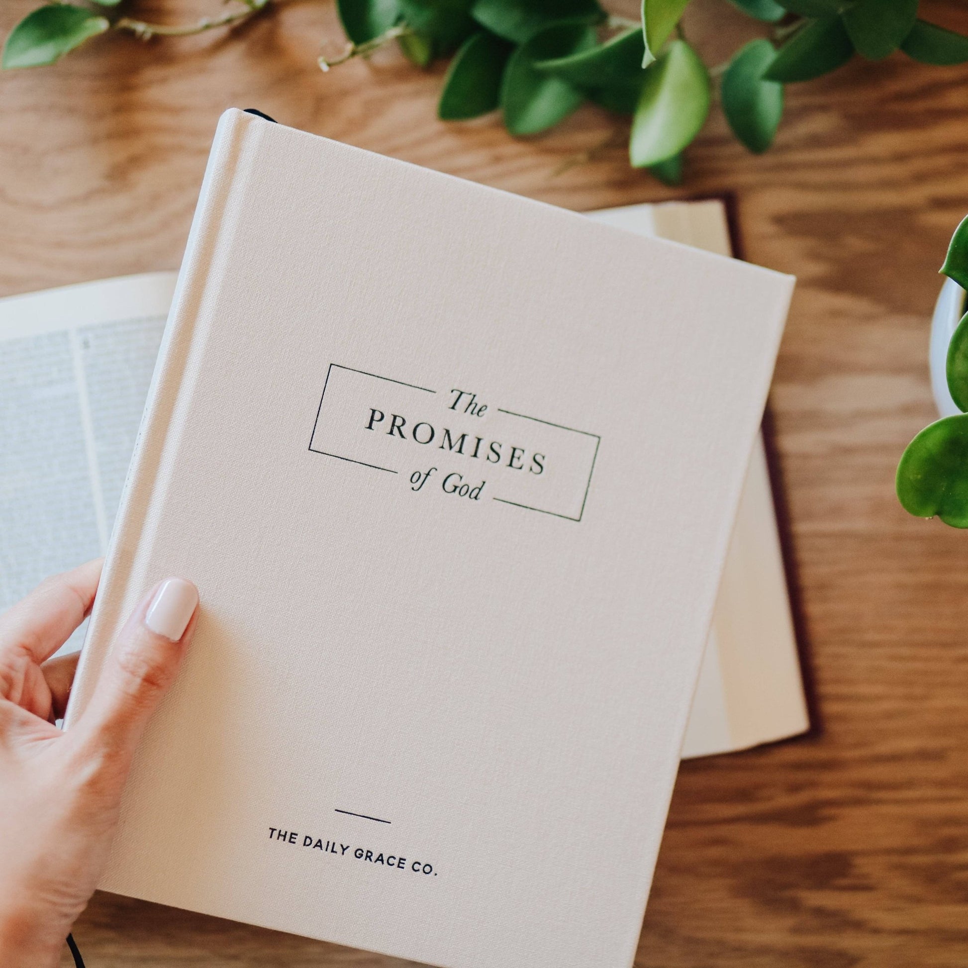 The Promises of God | Coffee Table Book - She Chester