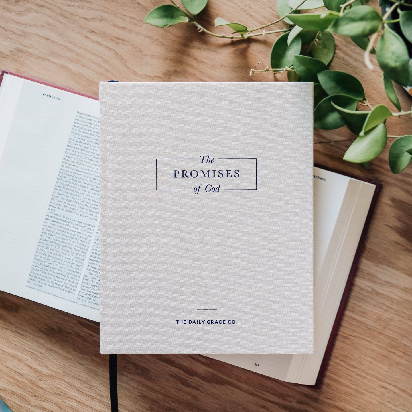 The Promises of God | Coffee Table Book - She Chester