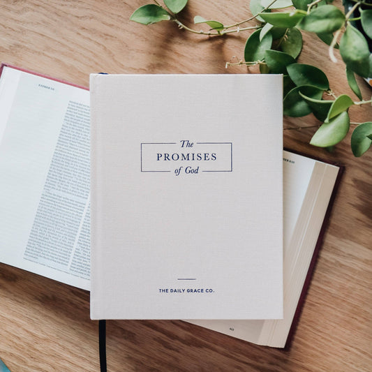 The Promises of God | Coffee Table Book - She Chester