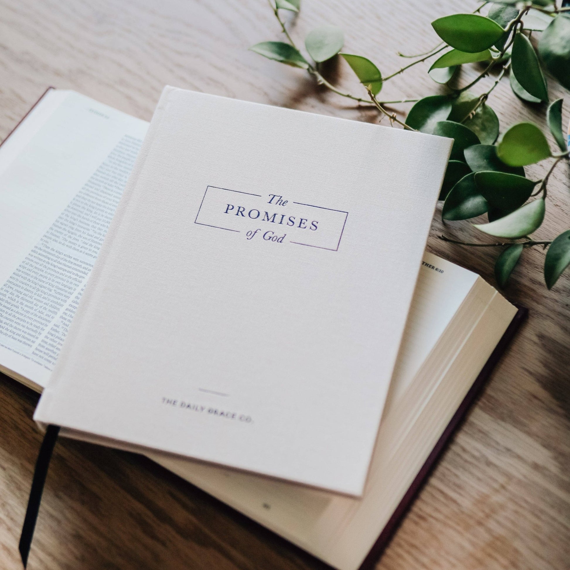 The Promises of God | Coffee Table Book - She Chester