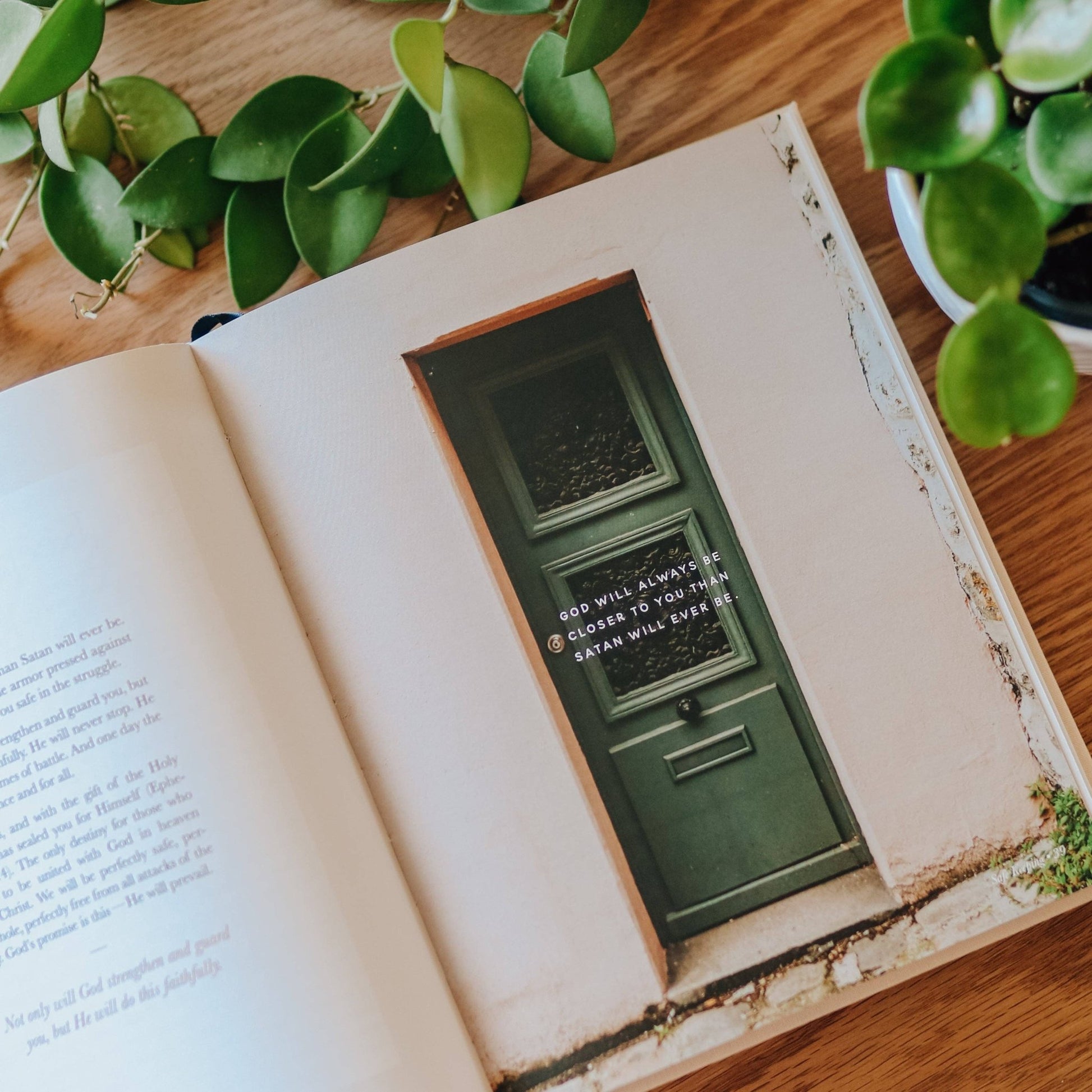 The Promises of God | Coffee Table Book - She Chester