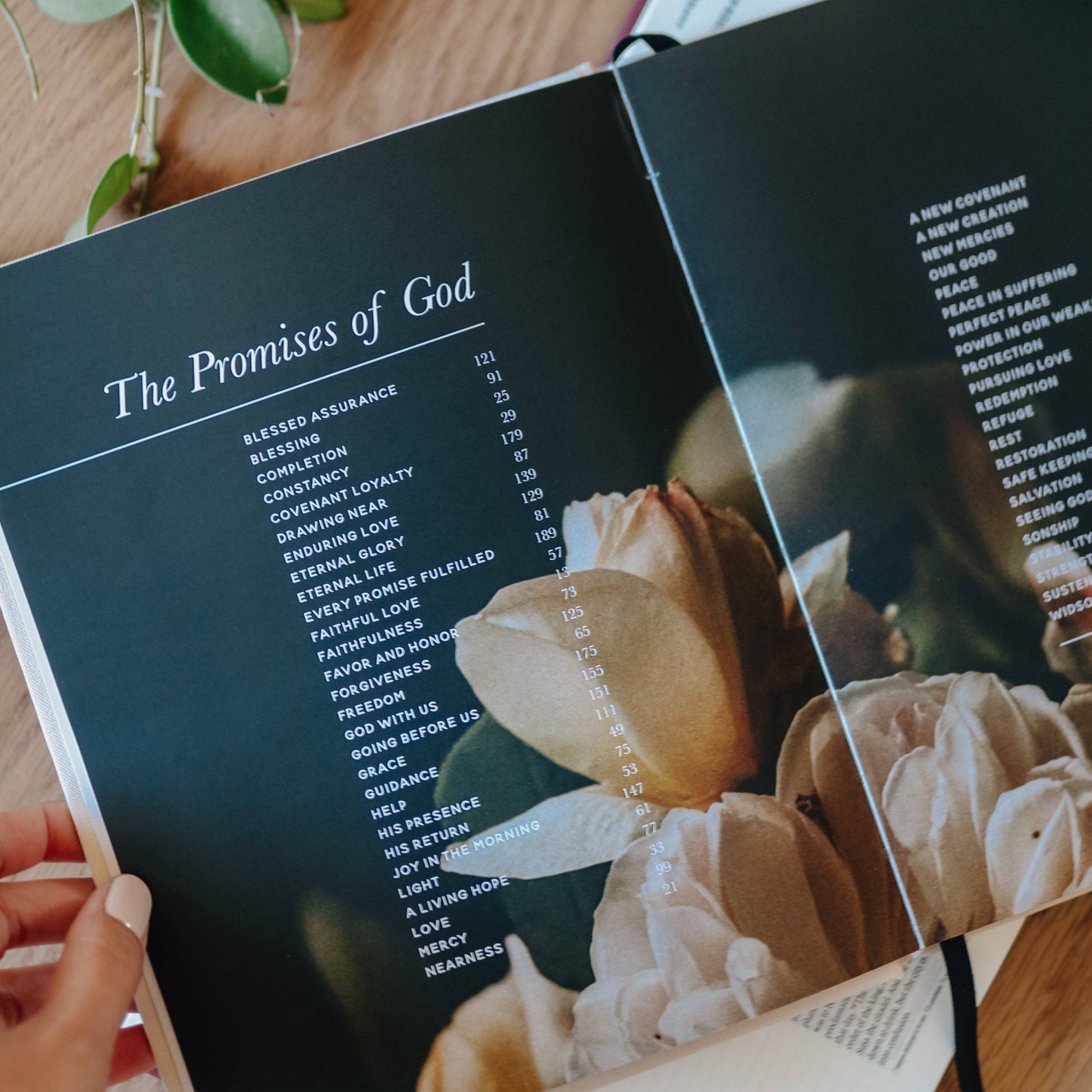 The Promises of God | Coffee Table Book - She Chester