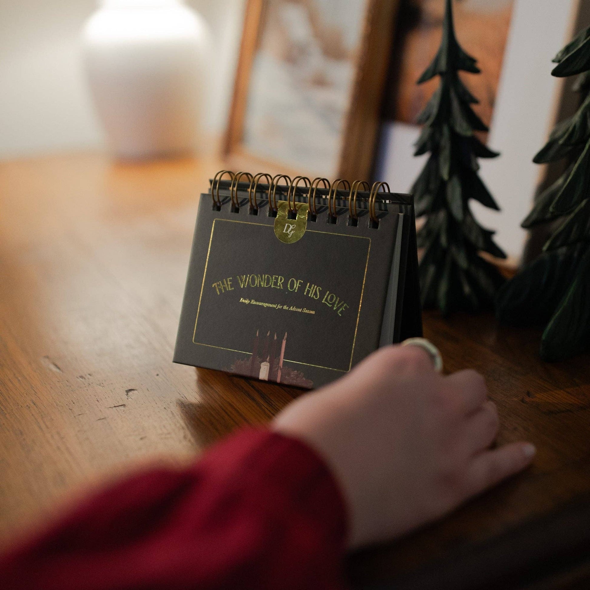The Wonder of His Love | Daily Encouragement Flip Calendar for the Advent Season - She Chester