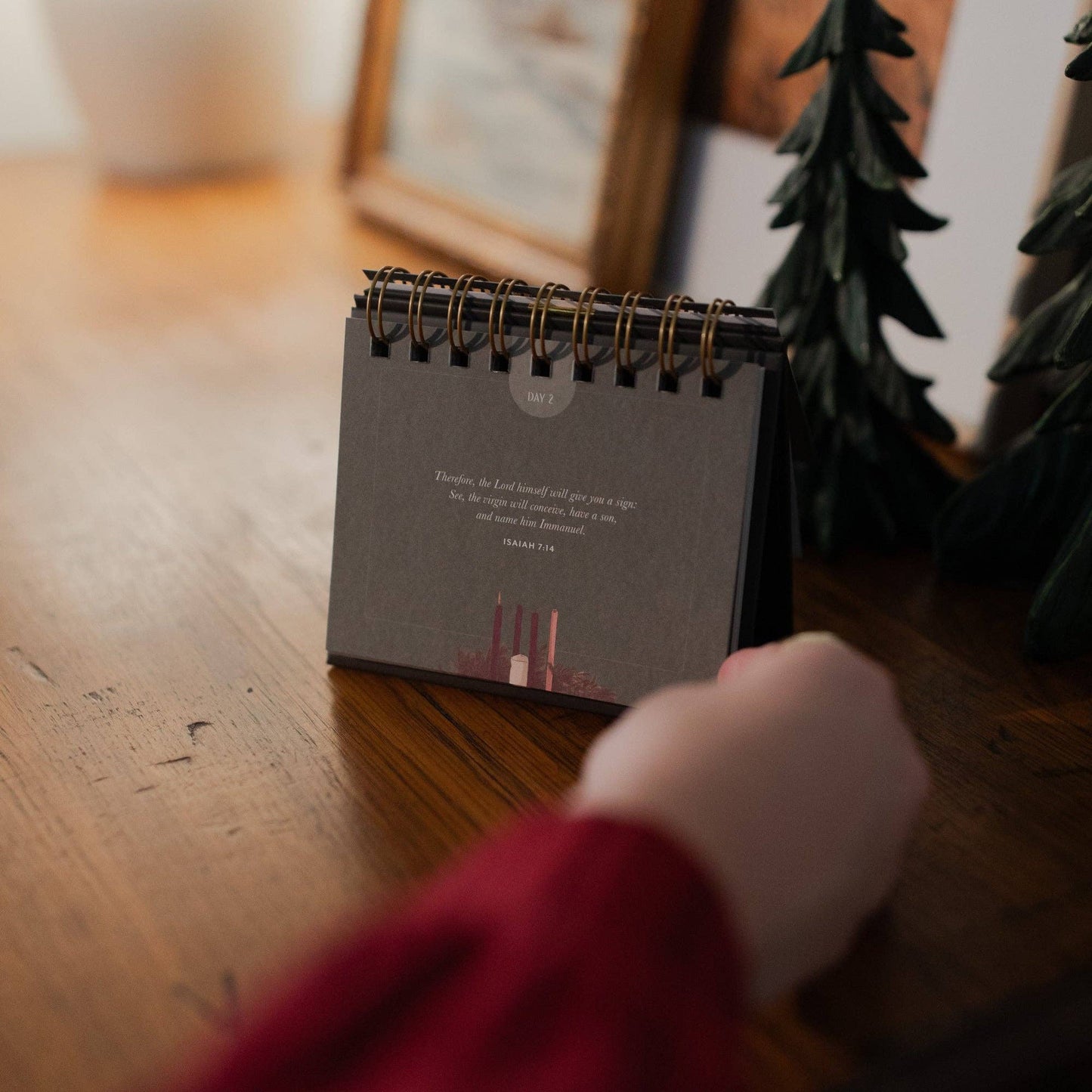The Wonder of His Love | Daily Encouragement Flip Calendar for the Advent Season - She Chester