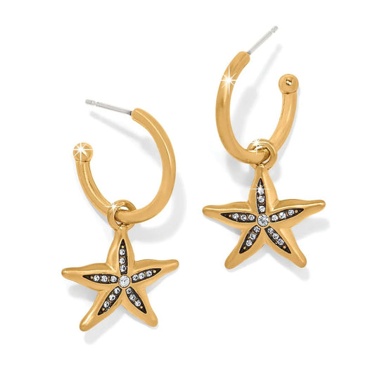 Twilight Waters Gold Starfish Hoops JA0174 - She Chester