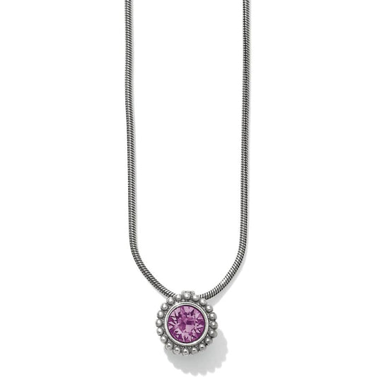 Twinkle Amethyst Necklace (February) - JL626G - She Chester