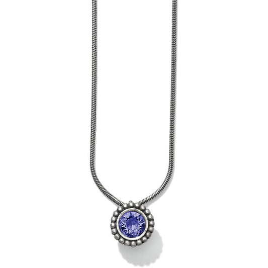 Twinkle Color Tanzanite Necklace - JL626K - She Chester