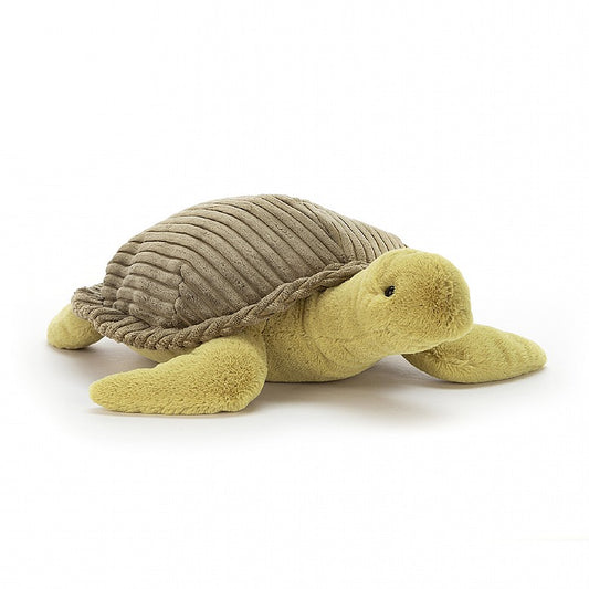 Terence Turtle - Medium