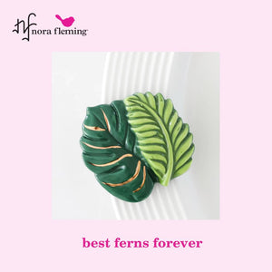 Best Ferns Forever Mini