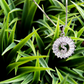 Gemelli Silver Circle Initial Necklace -