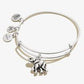 Elephant Animal Guide RS