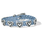 3/8 Hvn Blue Harmony Bandit - She Chester