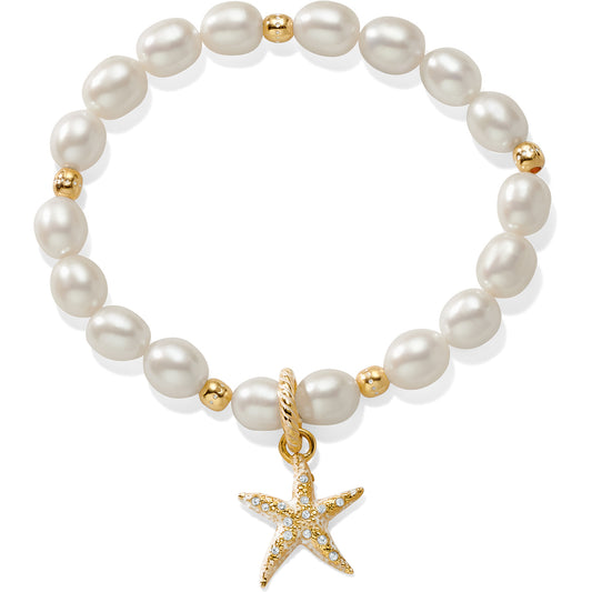 Sea Shore Compass Stretch