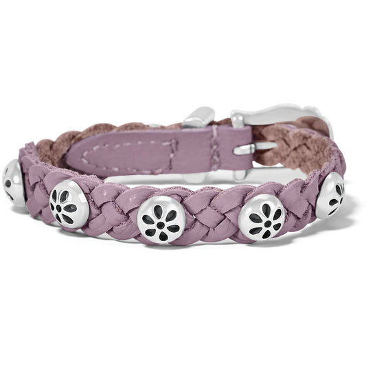 Daisy Wisteria Bandit - Purple