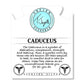 Caduceus TJazelle Bracelet