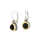 Genuine Black Onyx French Wire Earrings F5126-A500