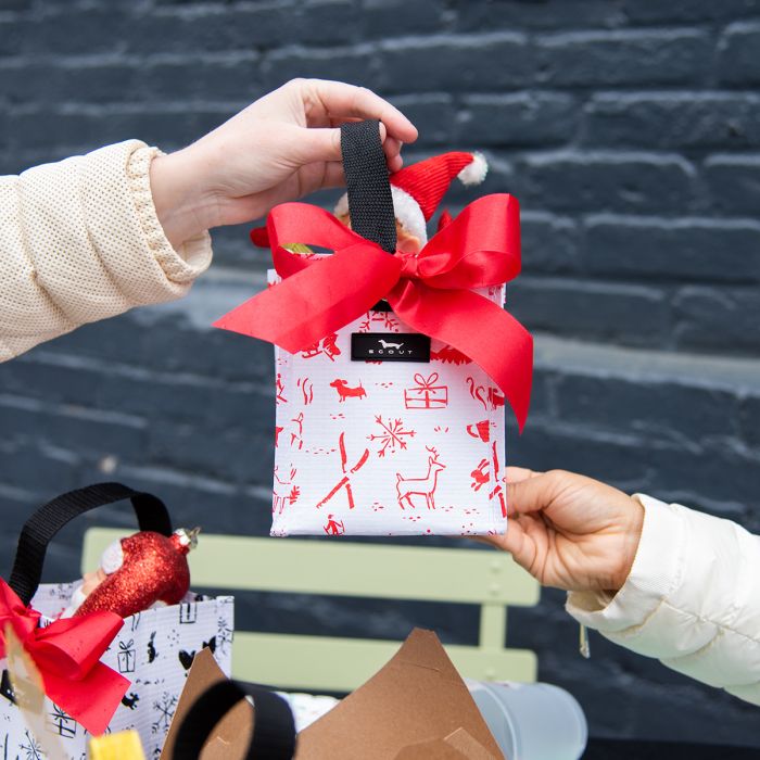 Bells On Dogtails Mini Package Gift Bag - She Chester
