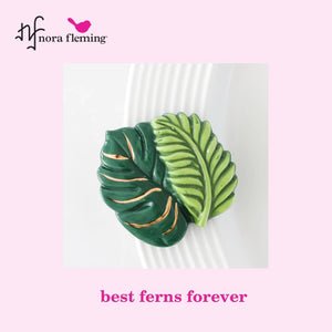 Best Ferns Forever Mini - She Chester