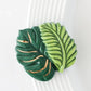 Best Ferns Forever Mini - She Chester