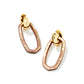 DANIELLE LINK EARRINGS GOLD BROWN MOTHER OF PEARL