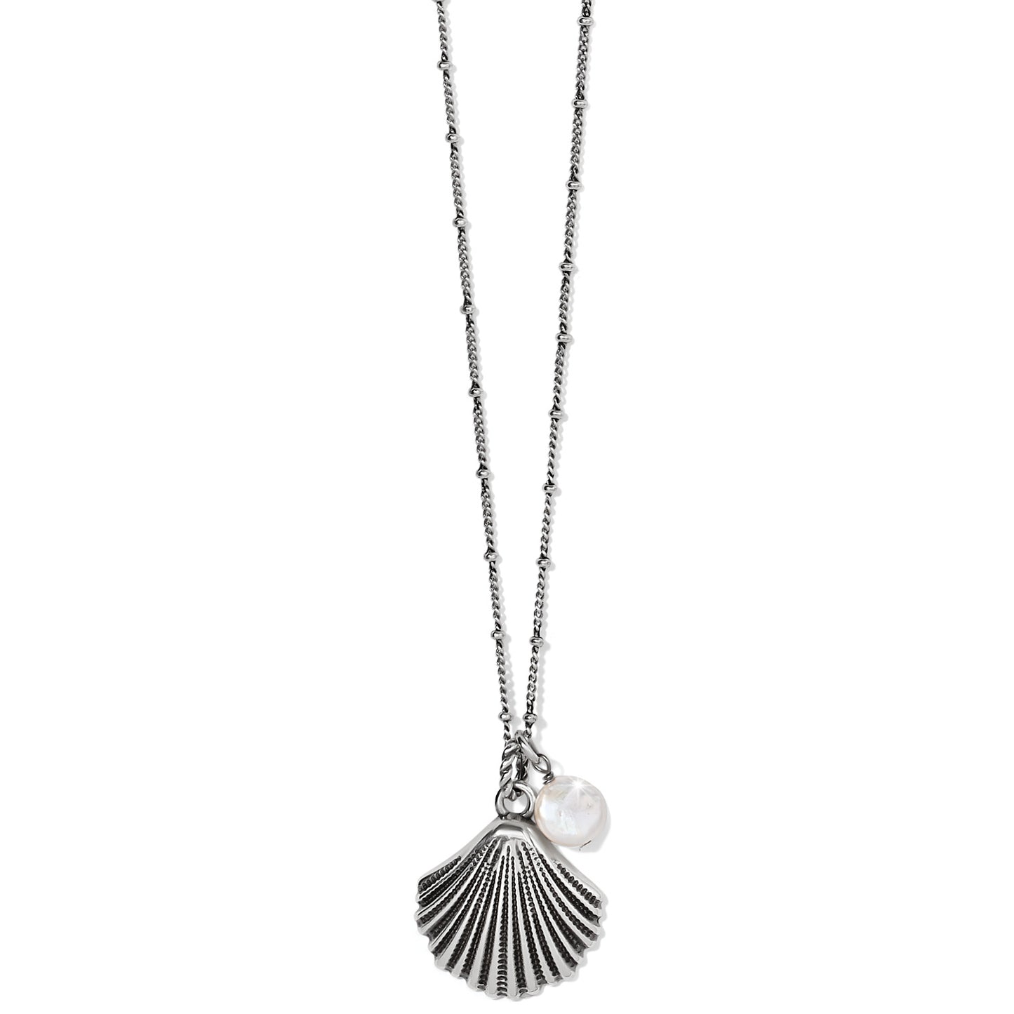 Silver Shells Petite Necklace
