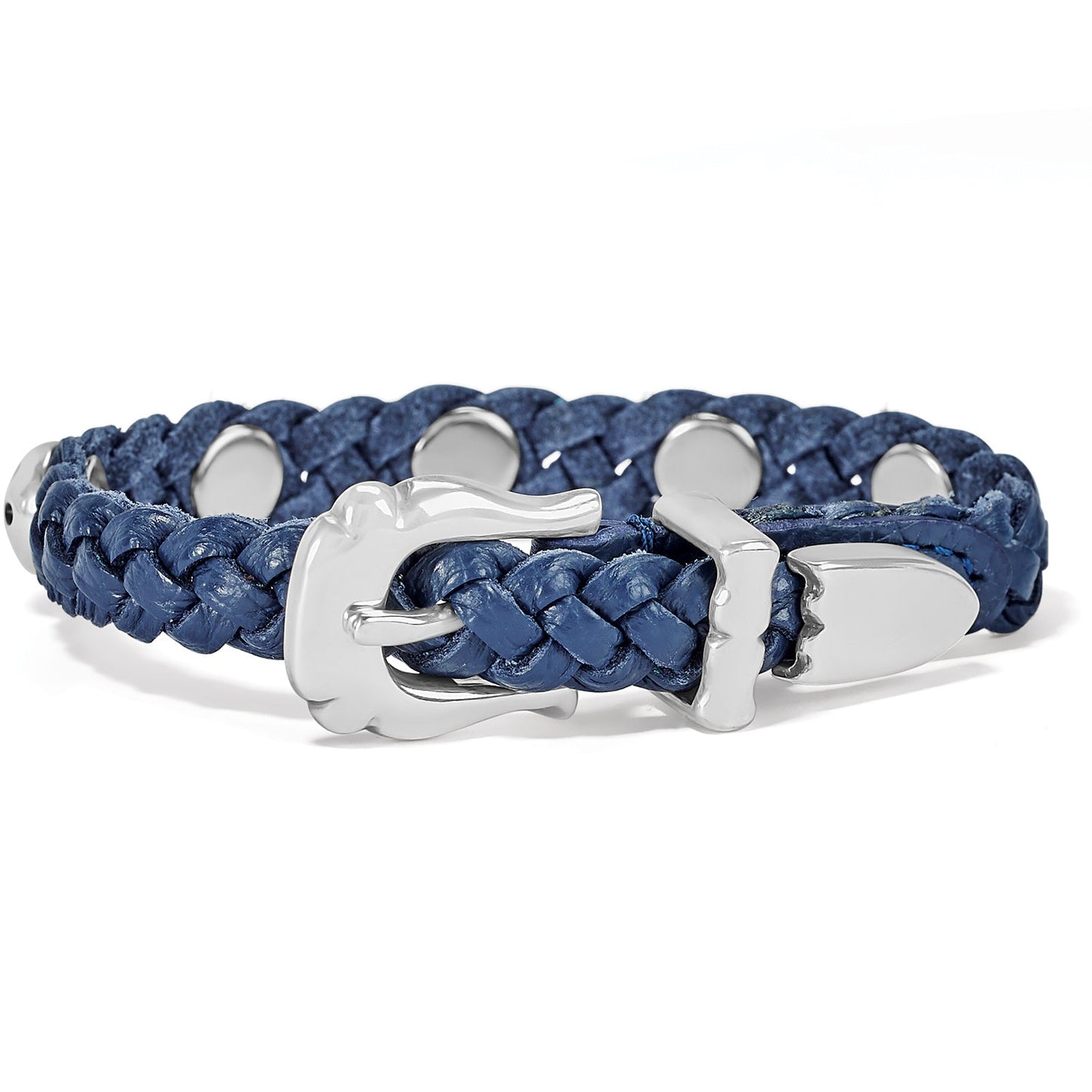 Daisy French Blue Bandit - She Chester