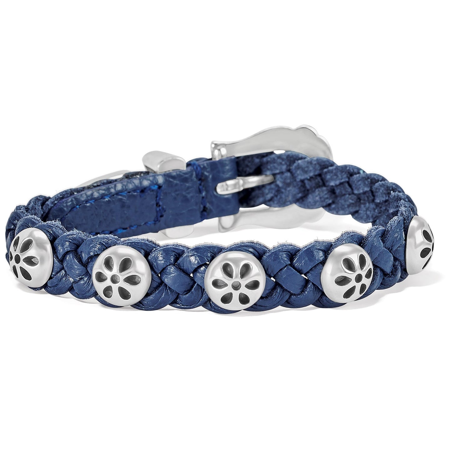 Daisy French Blue Bandit - She Chester