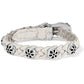 Daisy Optic White Bandit - She Chester