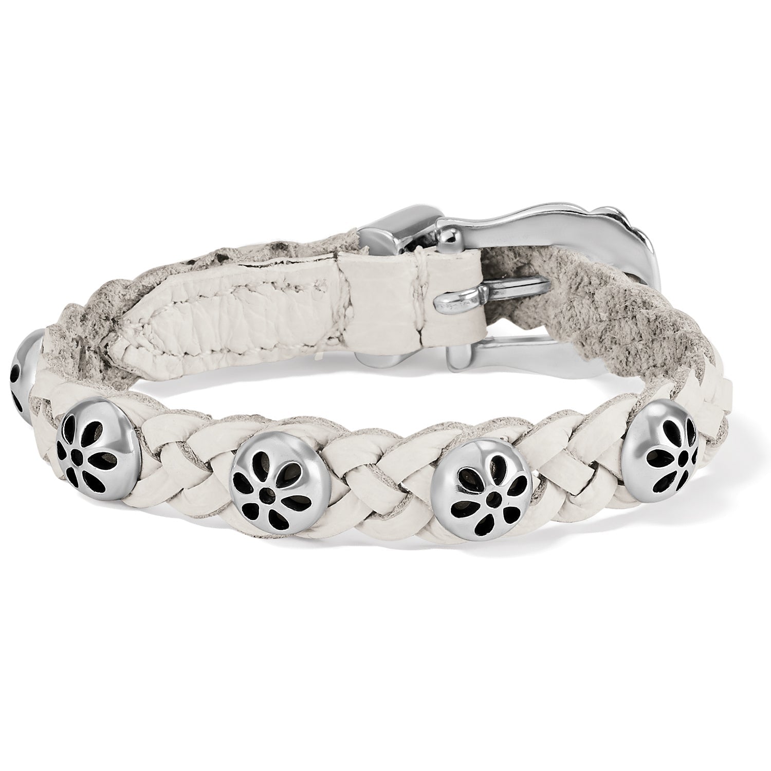 Daisy Optic White Bandit - She Chester