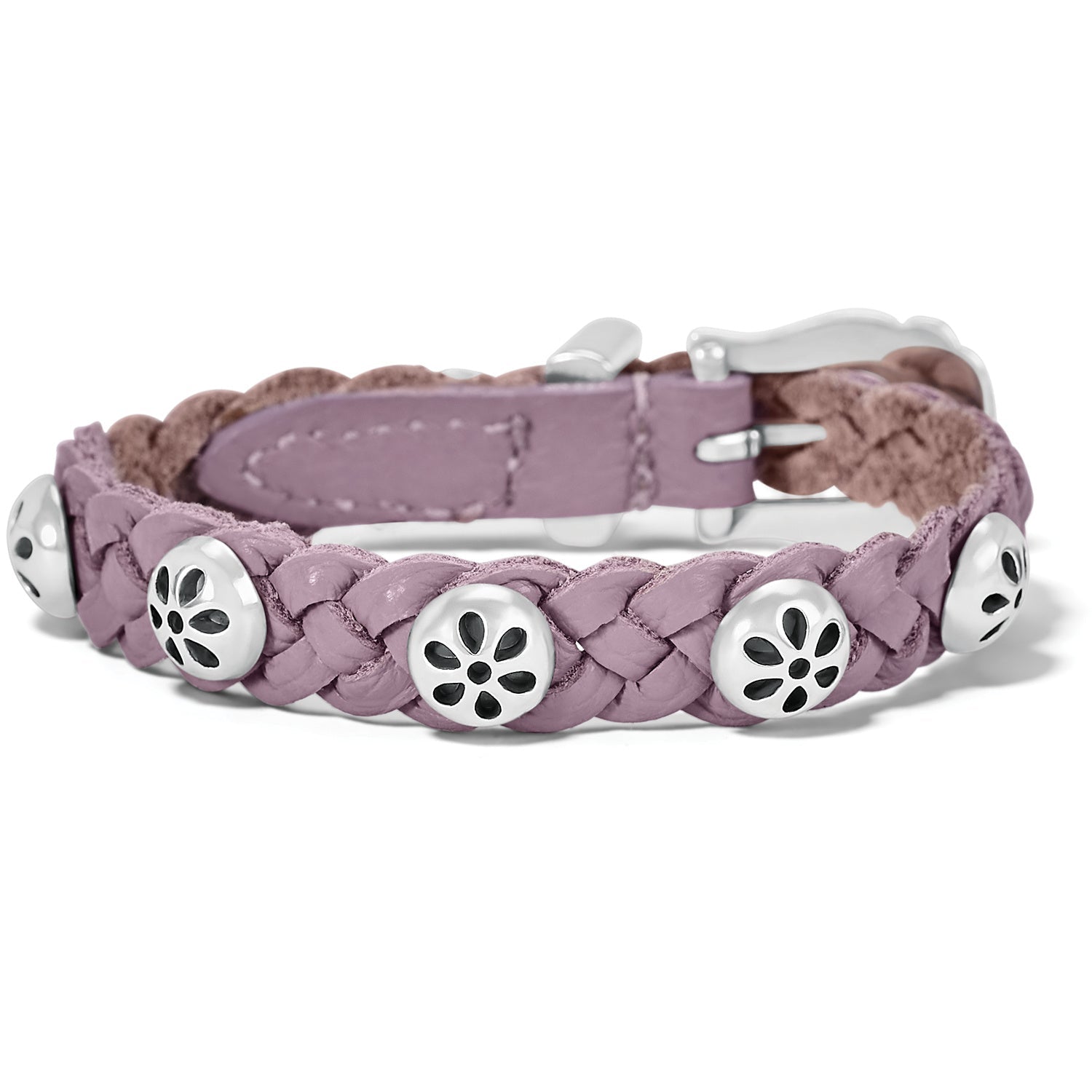 Daisy Wisteria Bandit - Purple - She Chester