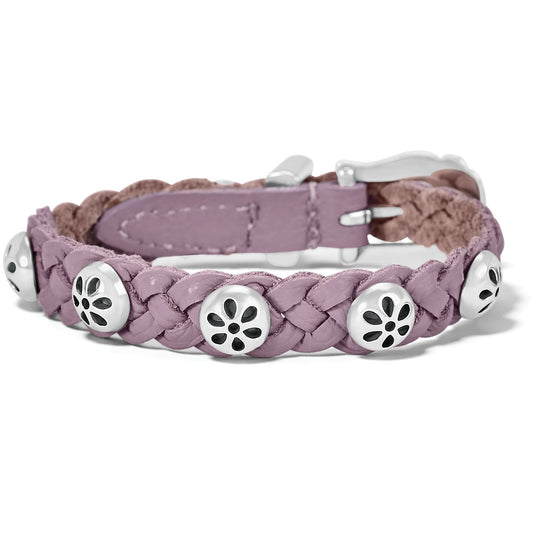 Daisy Wisteria Bandit - Purple - She Chester