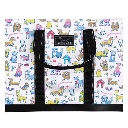 BEST IN SHOW ORIGINAL DEANO