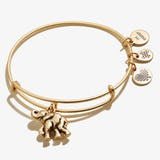 Elephant Animal Guide RG - She Chester