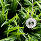Gemelli Silver Circle Initial Necklace - She Chester