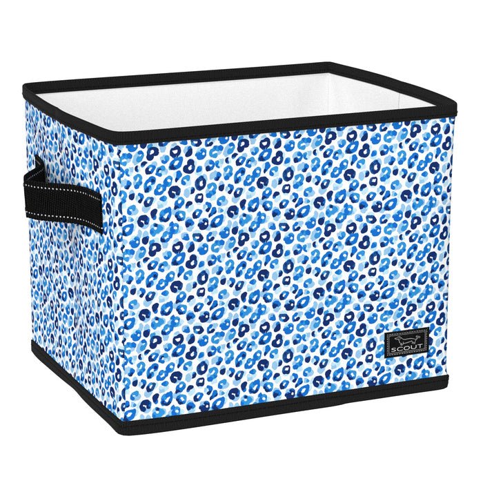 Hang 10 Bin - Teacher's Pet - She Chester