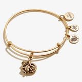 Monkey Animal Guide RG - She Chester