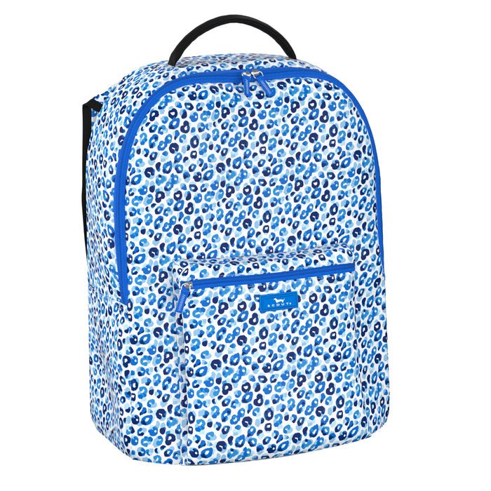 Pack Leader - Teacher's Pet - She Chester