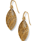 Palmetto Gold Leaf Drop Earrings - JA9268 - She Chester